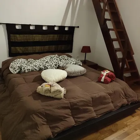 Apartment Casa Miky *
